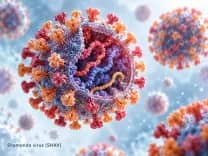 Virus Shamonda lan rộng tại châu Âu, Séc triển khai biện pháp phòng ngừa đầu tiên
