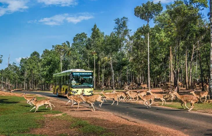 Vinpearl Safari Phú Quốc s dvojím světovým rekordem: jedno z nejvýznamnějších safari v regionu