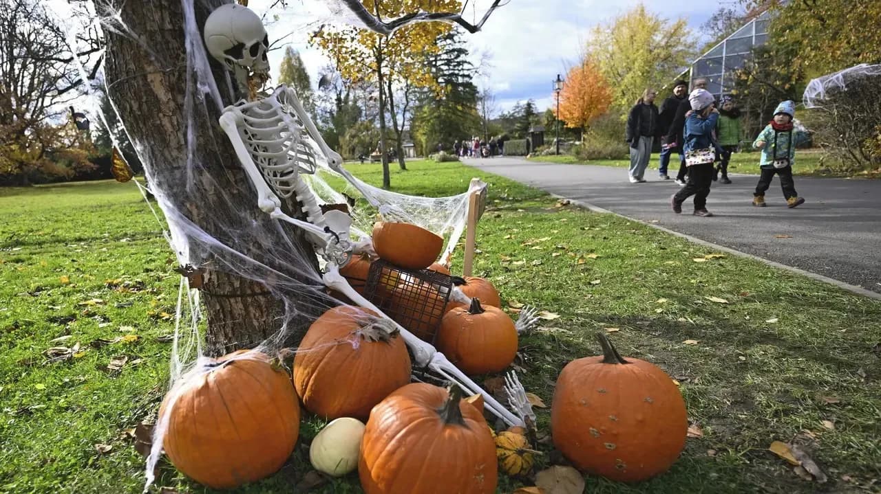 Vườn thú Zlín tổ chức chuỗi sự kiện đón Halloween với nhiều hoạt động mới