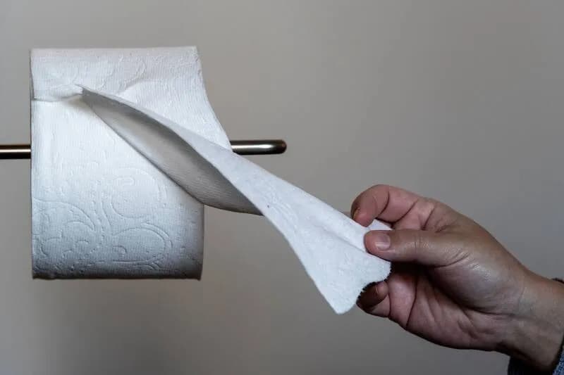 Cơ quan dịch tễ Praha hướng dẫn phòng lây nhiễm salmonella trong gia đình