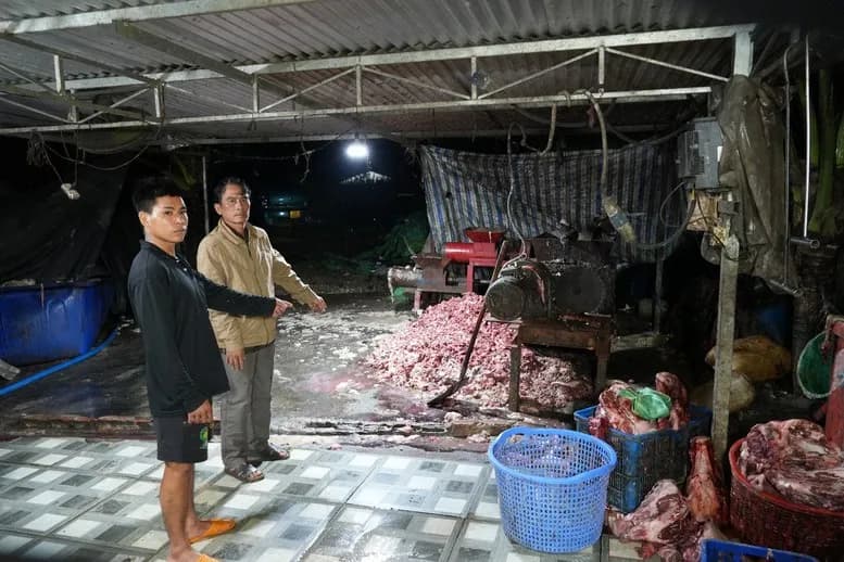 Triệt phá đường dây tiêu thụ khoảng 400 tấn heo bệnh, heo chết, thu lợi trên 10 tỷ đồng