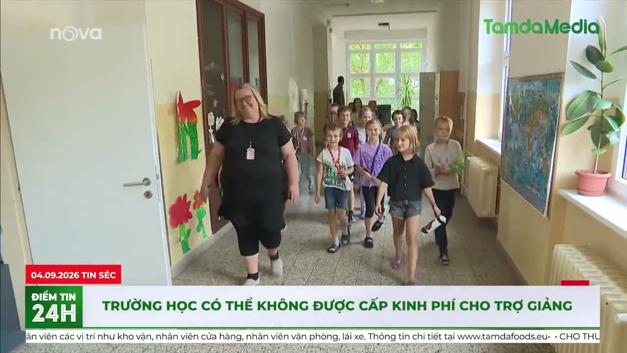 Trường học có thể không được cấp kinh phí cho trợ giảng